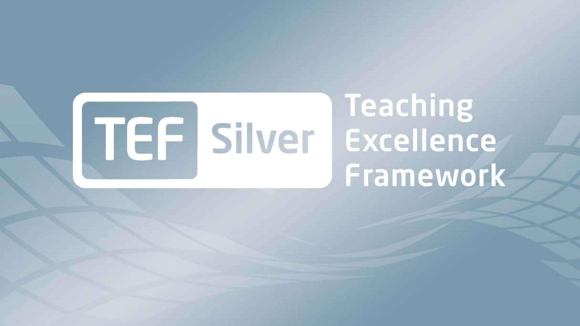 TEF Silver Award for MIHE